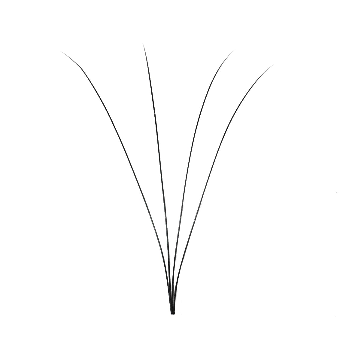 4D 0.07 Promade Fan