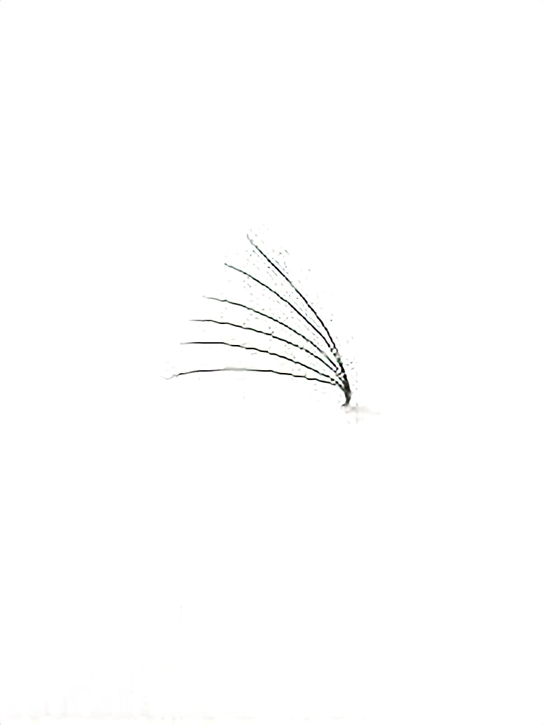 5D 0.07 Promade Fans
