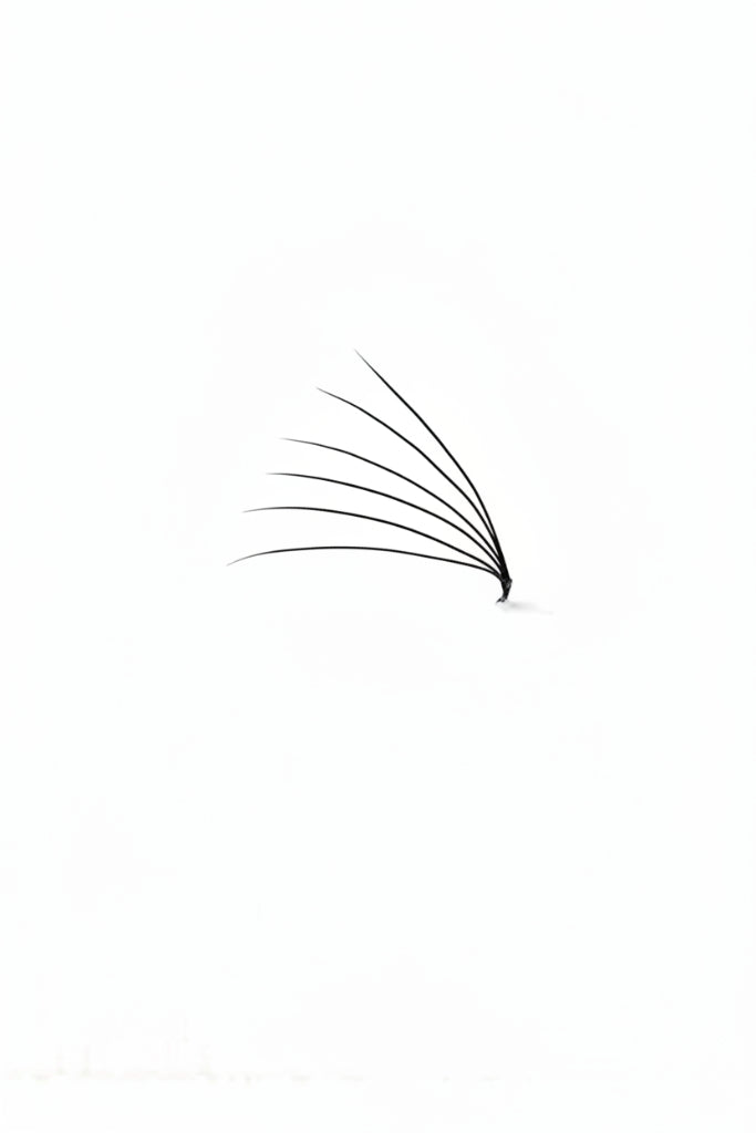 5D 0.07 Promade Fans