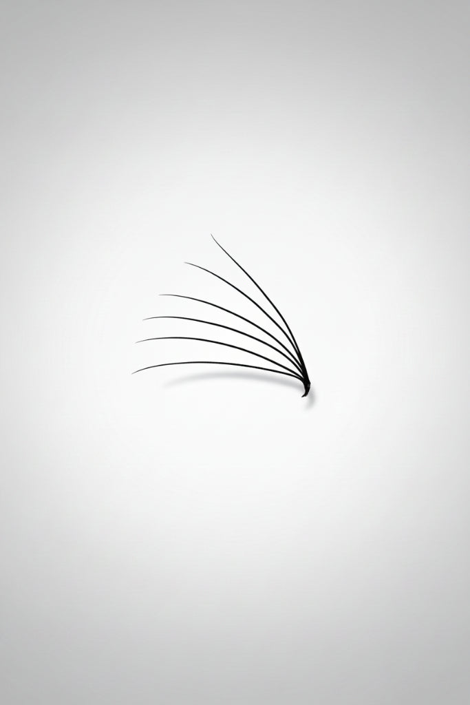 6D 0.07 Promade Fans