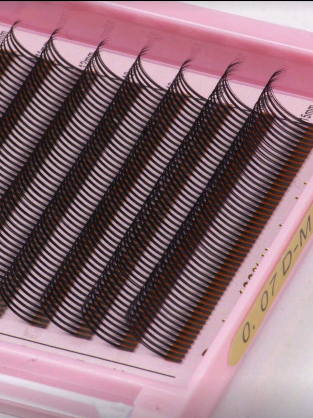 Wet Lash / 5D flower/ Spike