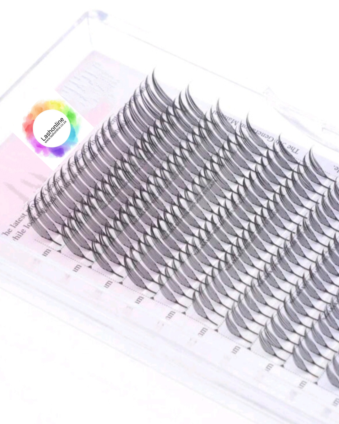 Natural Spire Lashes